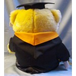 畢業熊反領披肩